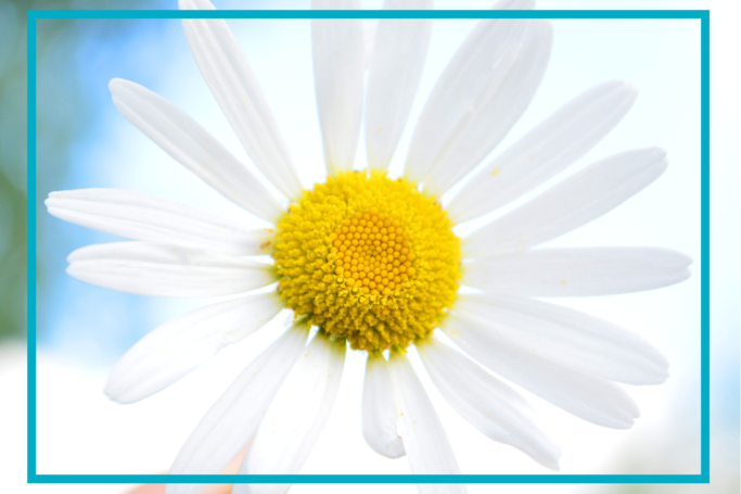 Pozwól sobie na długie życie w zdrowiu i dobrostanie