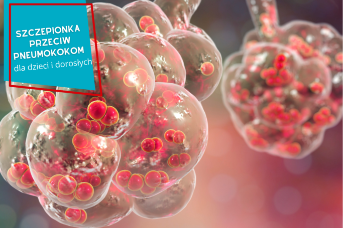 Szczepionka przeciw pneumokokom