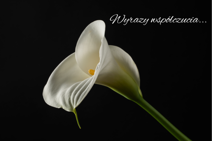 Kondolencje dla Rodziny śp. lek. Marka Włosowicza