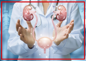 Nietrzymanie moczu Sosnowiec